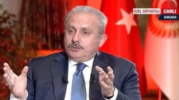 Mustafa Şentop: Sanal ortamda sövmenin de bir somut karşılığı olduğunu herkes anlamalı