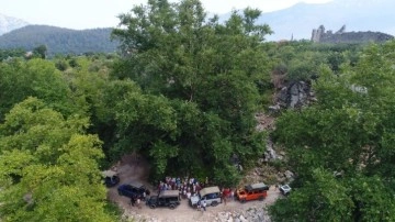Orman Genel Müdürü Karacabey: Türkiye dünyada en fazla ağaçlandırma yapan ülke