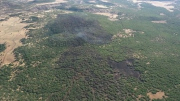 Orman yangını sayısı artarken etkilenen alan azalıyor