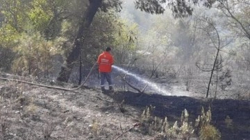 Osmaniye'deki orman yangınının bilançosu açıklandı!