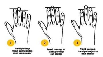 Parmak uzunluğu kişilik testi: Parmak uzunluğunuz karakterinizi etkiliyor!