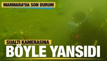 PEAK görüntüledi... Marmara Denizi'nde sualtı kamerasına böyle yansıdı