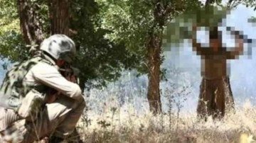 PKK'lı 2 terörist ikna çalışmaları sonucu teslim oldu