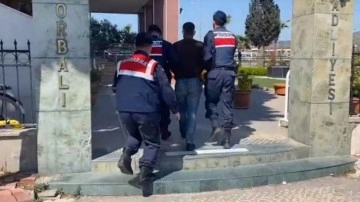 PKK'nın dağ kadrosundaydı İzmir Torbalı'da çobanlık yaparken yakalandı