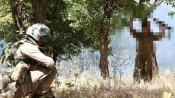 PKK'nın sözde Ayn İsa bölge sorumlusu teslim oldu