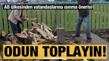 Polonya'dan vatandaşlarına ısınma önerisi: Odun toplayın