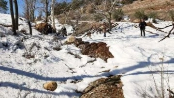 Prof. Dr. Hasan Sözbilir: İkinci büyük depremde 60 saniyede 6,6 metre kayma oldu