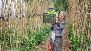 Rekabet Kurumu'ndan şok rapor! İşte fiyatların patladığı nokta