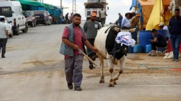 Resmi açıklama yapıldı! O ilimizde kurban pazarı kurulmayacak!