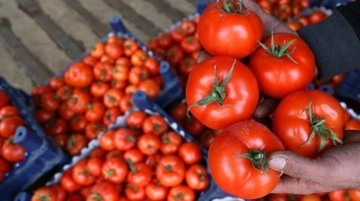 Rusya domatesi ihraç edemedi, semt pazarlarında fiyat 10 TL'ye düştü