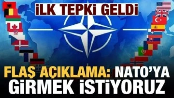 Rusya'dan tepki, NATO'dan destek: Finlandiya NATO'ya girmek istediğini açıkladı