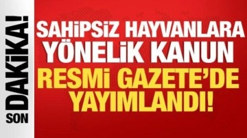 Sahipsiz hayvanlara yönelik düzenlemeler içeren kanun Resmi Gazete'de