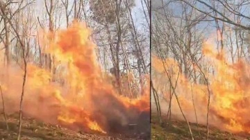 Sakarya'da kışın ortasında orman yangını. Bölgeye çok sayıda ekip sevk edildi