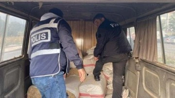 "Saman Alevi" operasyonu: 8 kişi gözaltında