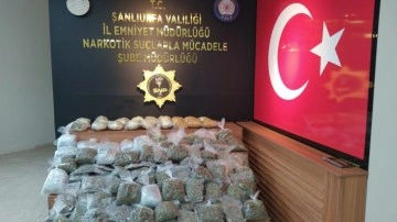 Şanlıurfa'da 74 kilo 800 gram skunk ele geçirildi