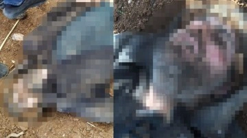 Şanlıurfa'da polisimizi şehit eden hain ölü ele geçirildi Bakan. Süleyman Soylu açıkladı