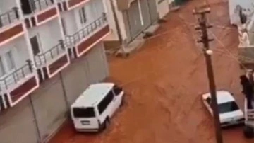 Şanlıurfa'da sağanak yağış sele neden oldu