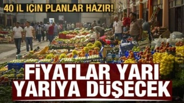 Sebze-meyve fiyatları yarı yarıya düşecek! 40 il için planlar hazır