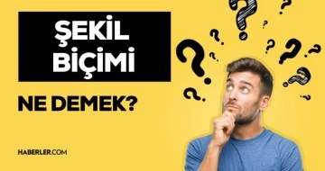 Şekil bilgisi nedir? Şekil bilgisi konu anlatımı! Şekil bilgisi morfoloji kavramının kökeni nedir?