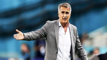 Şenol Güneş'e Fransa'dan sürpriz teklif!