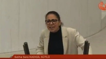 Sera Kadıgil'in cehaleti mide bulandırdı! İğrenç üslup