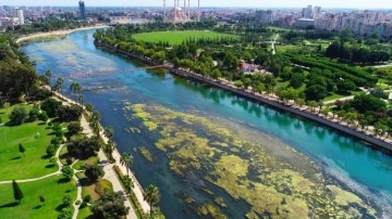 Seyhan can çekişiyor: Yosunlar nehri istila etti, otlar insan boyuna yaklaştı!