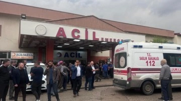 Sığındıkları ağacın yanına yıldırım düştü: 2 kişi öldü, 6 kişi yaralandı