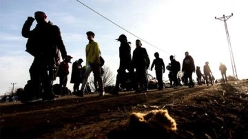 Sınırda göçmen kaçakçılığı operasyonu: 82 gözaltı!