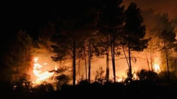 Sinop&rsquo;un Gerze ilçesinde çıkan orman yangını korkuttu