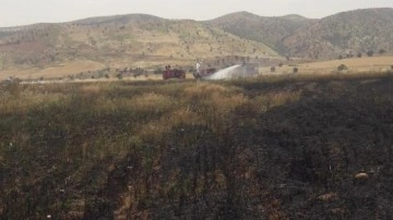 Şırnak'ta 200 dönüm ekili buğday yandı