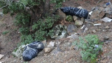 Siz nasıl insansınız! İzmir’de korkunç olay! Çöp poşetleri içerisinde köpek ölüleri bulundu
