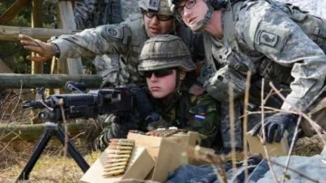Soğuk Savaş'tan bu yana Hollanda'nın askeri harcamalarında rekor artış