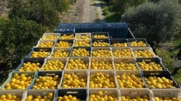 ŞOK Marketler, deprem bölgesinde tarımı ve çiftçiyi destekliyor