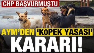 Son dakika: AYM'den 'köpek yasası' kararı! CHP başvurmuştu...