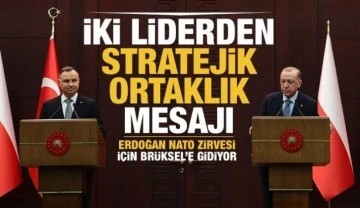 Son dakika.. Başkan Erdoğan 24 Mart'ta Brüksel'deki NATO Liderler Zirvesi'ne katılaca