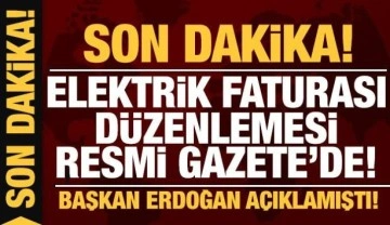 Son dakika: Elektrik faturası düzenlemesi Resmi Gazete'de!