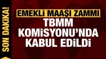 Son dakika: Emekli maaşı zammı ve emekli ikramiyesi TBMM Komisyonu'nda kabul edildi!