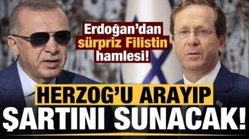 Son dakika... Erdoğan'dan Filistin hamlesi: Herzog'u arayıp şartını sunacak!