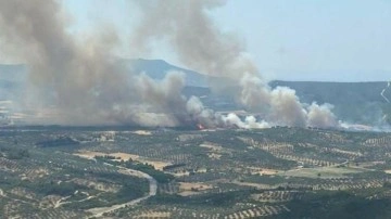 Son dakika... Foça'da korkutan orman yangını