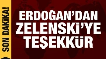 Son dakika haberi: Erdoğan'dan Zelenski'ye tahıl koridoru teşekkürü