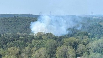 Son Dakika: İstanbul'da orman yangını!