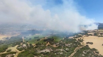 Son Dakika: Şiddetli rüzgarın etkili olduğu Çanakkale'de orman yangını!