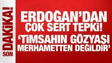 Son Dakika... Erdoğan'dan sert tepki: Timsahın gözyaşı merhametten değildir!