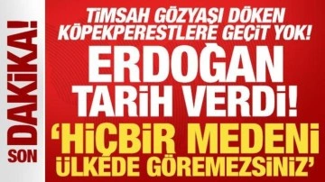 Son Dakika... Erdoğan tarih verdi: Timsah gözyaşı döken köpekperestlere geçit yok!