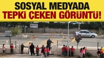 Sosyal medyada tepki çeken görüntü!