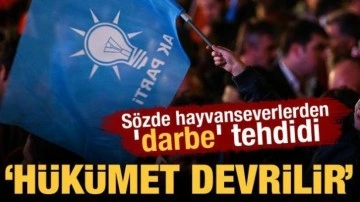 Sözde hayvanseverlerden 'darbe' tehdidi: Hükümet devrilir