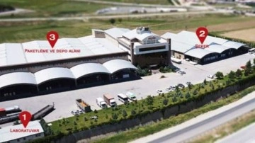 SPK, Yayla Agro Gıda Sanayi ve Ticaret AŞ'nin halka arzını onayladı