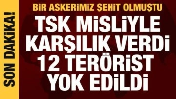 Suruç'ta bir askerin şehit olduğu saldırıya TSK karşılık verdi: 12 terörist etkisiz!