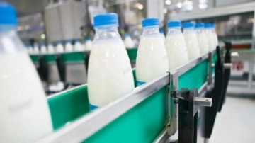 Süt ve krema ihracatı için yeni karar