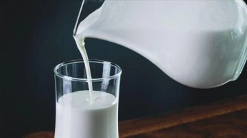 Sütaş’tan süt ve süt ürünlerinde ihracat rekoru